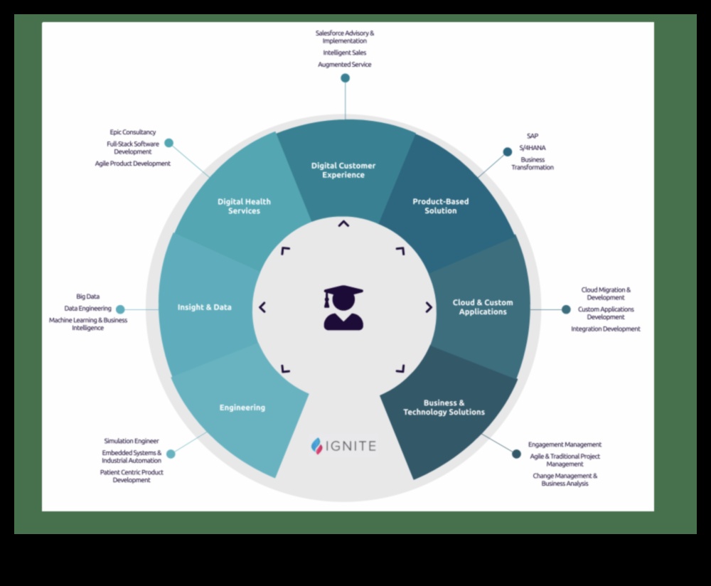 Καινοτομία, Ενσωμάτωση, Ανάφλεξη: Επιχειρησιακή Ανάπτυξη