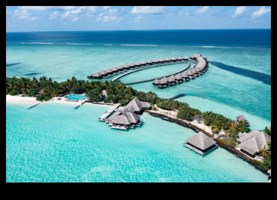 Πλούσιο Oasis Dive in the Golden Luxury of the Maldives 3 Πλούσια Όαση: Βουτήξτε στη χρυσή πολυτέλεια
