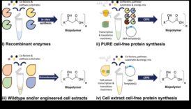Βιολογία με επίκεντρο τον χρήστη: Δημιουργία εξατομικευμένων εμπειριών με βιοτεχνολογικές προόδους
