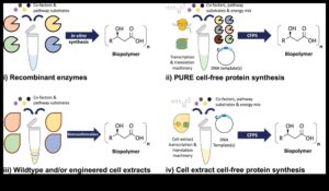 Βιολογία με επίκεντρο τον χρήστη: Δημιουργία εξατομικευμένων εμπειριών με βιοτεχνολογικές προόδους
