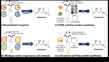 Βιολογία με επίκεντρο τον χρήστη: Δημιουργία εξατομικευμένων εμπειριών με βιοτεχνολογικές προόδους