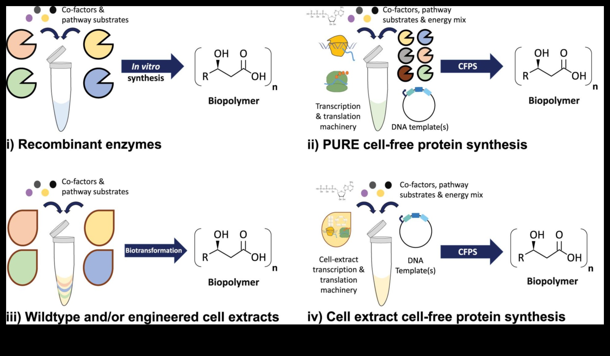Βιολογία με επίκεντρο τον χρήστη: Δημιουργία εξατομικευμένων εμπειριών με βιοτεχνολογικές προόδους