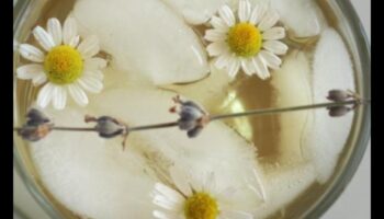 DIY Chamomile Tea Bar: Crafting Your Personalized Relaxation Brew