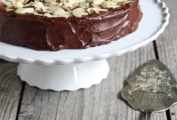 Decadent Chocolate Almond Torte