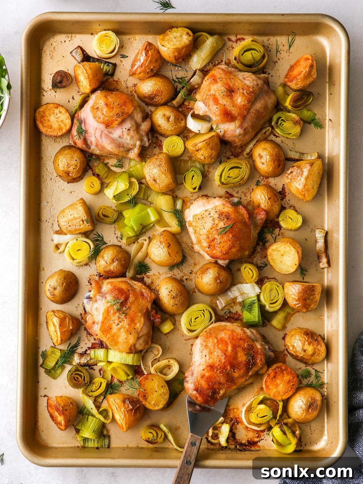 featured 44731