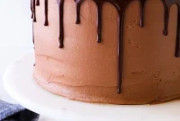 Double Fudge Layer Cake