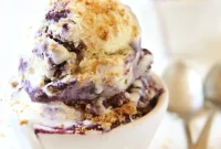 Blueberry Crumble Ice Cream