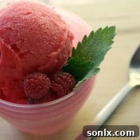 A beautifully presented bowl of homemade raspberry sorbet, garnished with fresh mint.