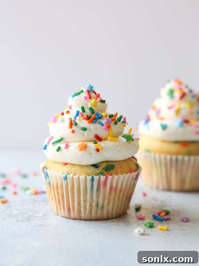 Two perfectly frosted vanilla funfetti cupcakes adorned with colorful sprinkles, ready for a special celebration.