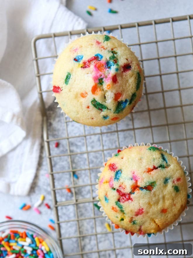 A pair of beautifully baked funfetti cupcakes, showcasing their golden-brown tops and colorful sprinkle peek-throughs, presented on a rustic surface.