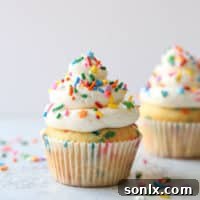Two perfect vanilla funfetti cupcakes