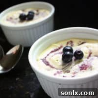 Blueberry Semifreddo