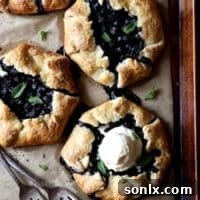 Mini Blueberry Galettes ready to be enjoyed, showcasing a golden crust and juicy blueberry filling