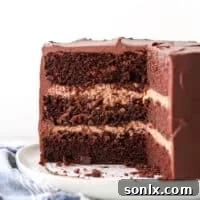 A slice of incredibly rich and moist chocolate sour cream cake