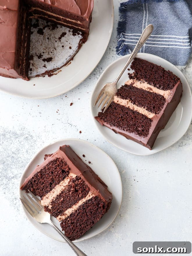 A stunning slice of chocolate sour cream cake, revealing its moist layers and rich frosting.