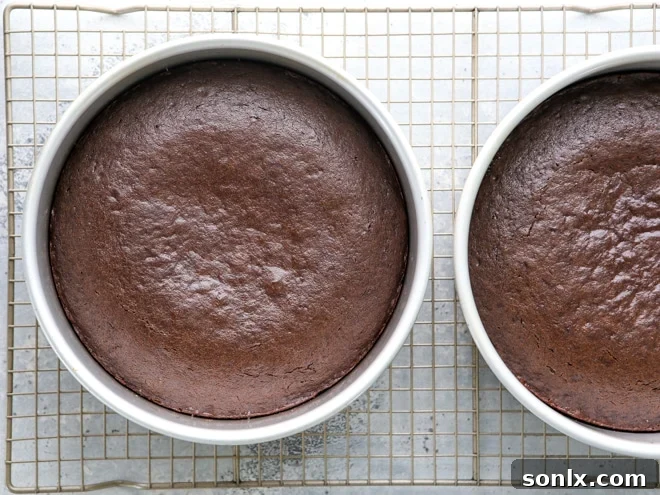 Golden-brown chocolate sour cream cakes just out of the oven, cooling on a rack