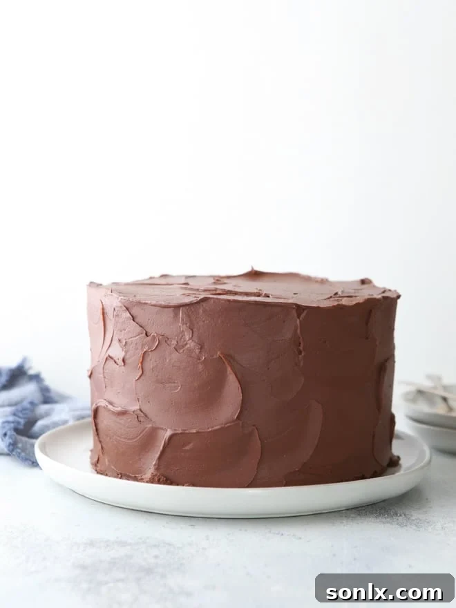 A freshly frosted chocolate sour cream cake, ready to be served