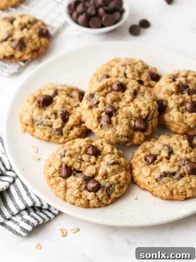 Irresistible chocolate chip oatmeal cookies artfully arranged on a ceramic plate, ready to be enjoyed.
