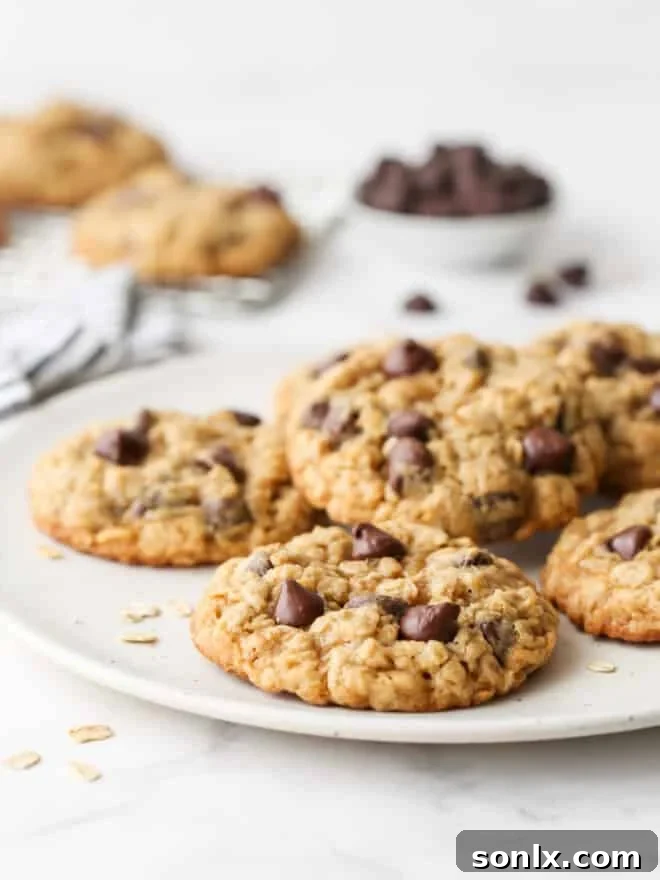 A beautiful closeup shot revealing the chewy texture and generous chocolate chips in oatmeal cookies.