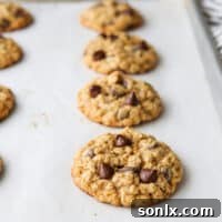 Baked oatmeal chocolate chip cookies cooling on a pan, showcasing their golden edges and melty chocolate.