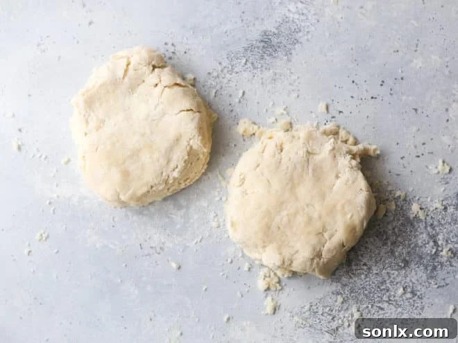 Two neatly formed disks of pie crust dough, wrapped in plastic, ready for refrigeration.