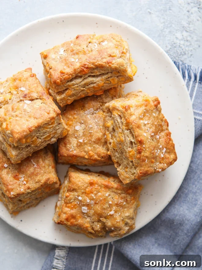 These hearty whole wheat cheddar biscuits make a great addition to any meal!