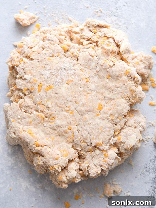 These hearty whole wheat cheddar biscuits make a great addition to any meal!