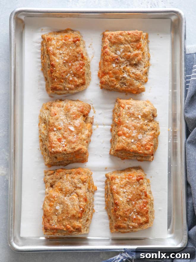 These hearty whole wheat cheddar biscuits make a great addition to any meal!