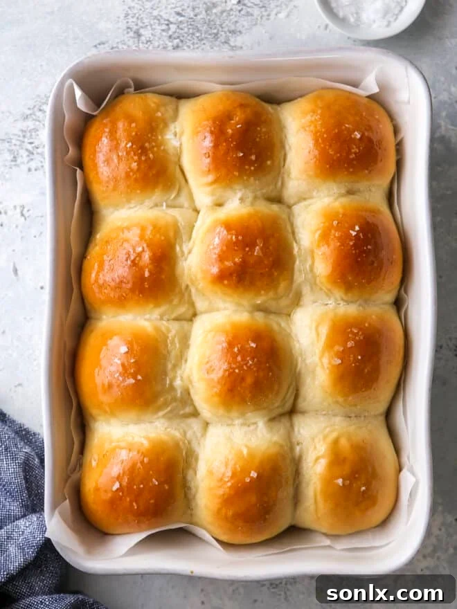 soft white dinner rolls freshly baked in a metal baking pan