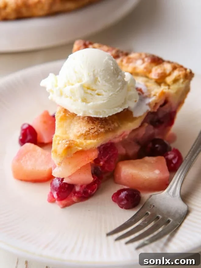 Closeup of a slice of cranberry pear pie served with a scoop of vanilla ice cream, highlighting the flaky crust and vibrant filling.