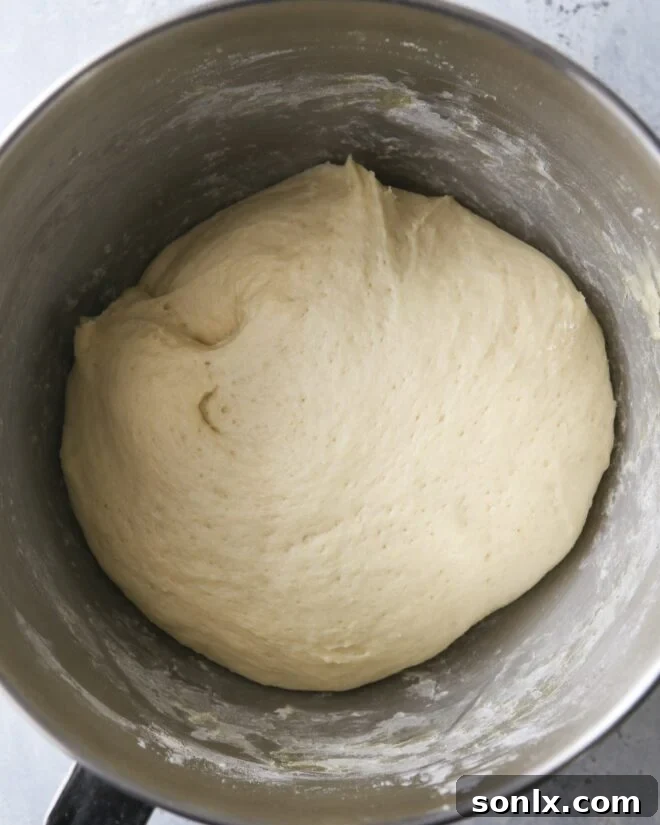 risen dough in mixing bowl, ready for shaping