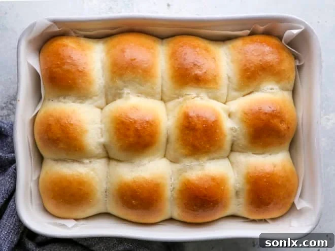 dinner rolls in pan after baking, golden and ready to serve