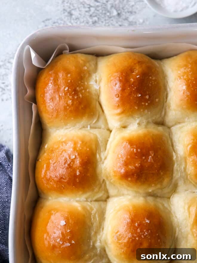 close up of dinner rolls in baking dish, showing golden crust