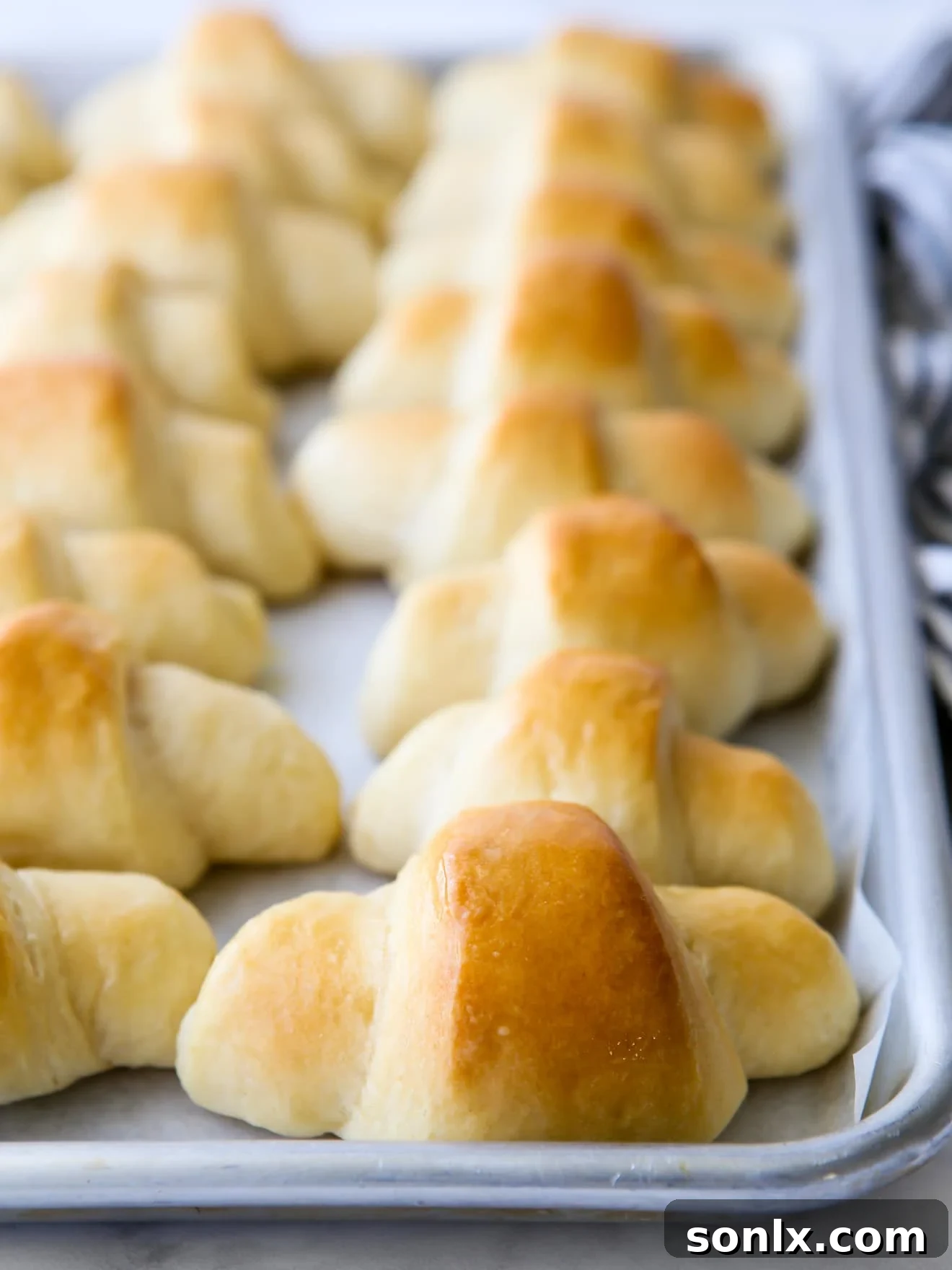 fairy crescent rolls baked on a pan