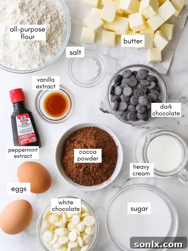 Array of fresh ingredients for chocolate mint thumbprint cookies, meticulously arranged for baking