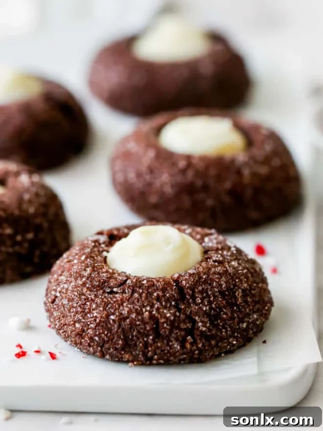 Detailed close-up of chocolate mint thumbprint cookies, highlighting the creamy ganache and dark cookie texture