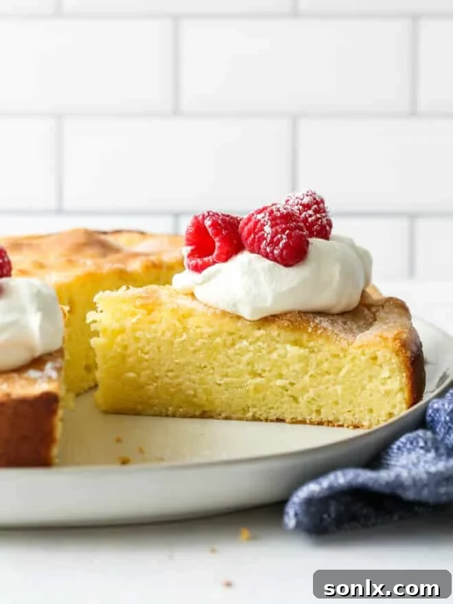 A close-up shot of a perfectly baked lemon olive oil cake slice, showcasing its moist crumb and tender texture, with hints of lemon zest.