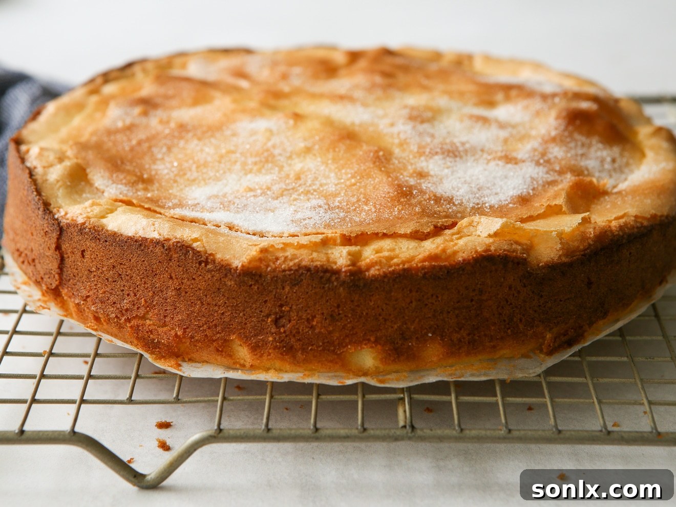 A perfectly baked lemon olive oil cake, golden brown on top and fragrant, sitting on a cooling rack, ready to be enjoyed.