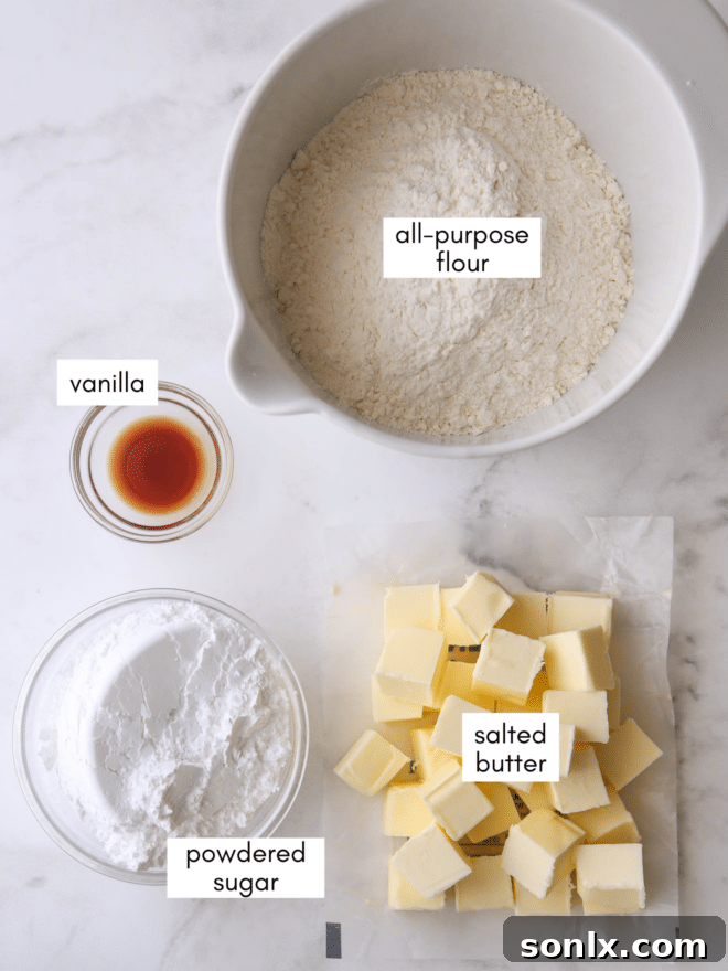 display of the four main ingredients for brown butter shortbread: butter, flour, powdered sugar, vanilla extract
