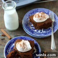 A slice of Lafayette Gingerbread on a white plate, garnished with whipped cream and a sprinkle of cinnamon. The cake is dark brown and moist.