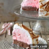 Brownie and Candy Cane Ice Cream Baked Alaska
