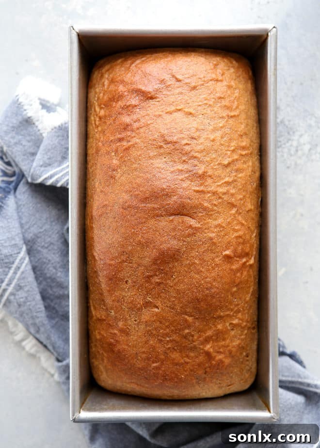 A freshly baked 100% whole wheat bread loaf, sliced and displayed, perfect for toast, sandwiches, or simply enjoying with butter.