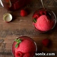 Vibrant Raspberry Rosé Sorbet