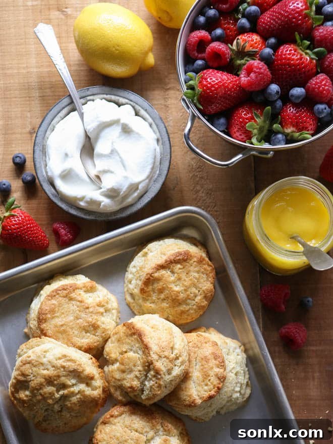 Beautifully stacked Lemon Berry Shortcakes ready to be enjoyed, showcasing the vibrant colors of berries and lemon.