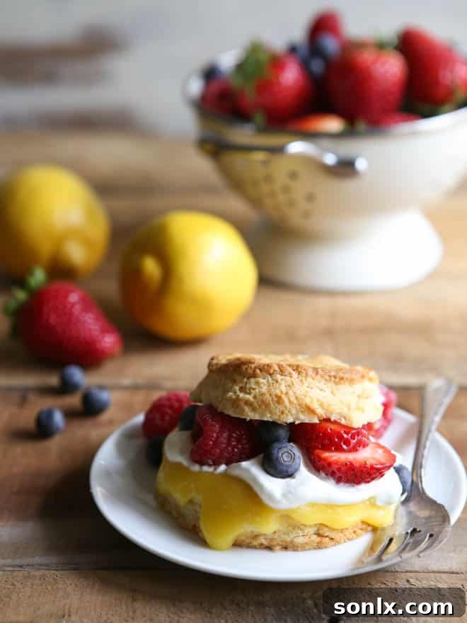 Overhead view of a prepared Lemon Berry Shortcake, highlighting the fresh ingredients.