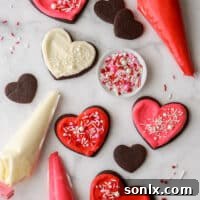 Frosted chocolate sugar cookies with piping bags and sprinkles