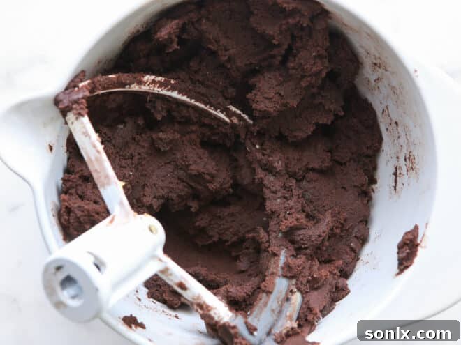 Chocolate sugar cookie dough in a mixer bowl