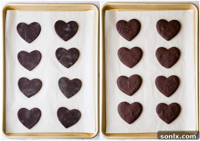 Chocolate sugar cookies before and after baking