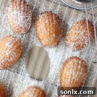 Vanilla Madeleines