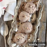 Delicious chocolate hazelnut ice cream recipe